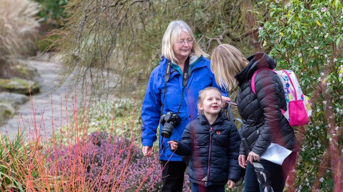 Ymwelwyr yng Ngardd y Gaeaf yng Ngardd Bodnant, Cymru